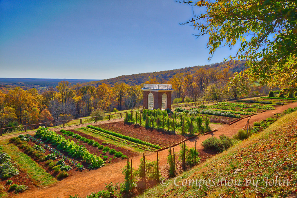 Monticello gardens