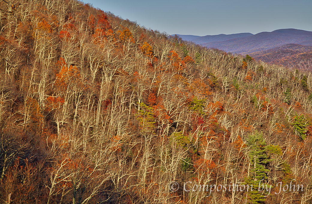 though late in Autumn, the beauty is still evident on the slopes of the Shenandoah Mountains